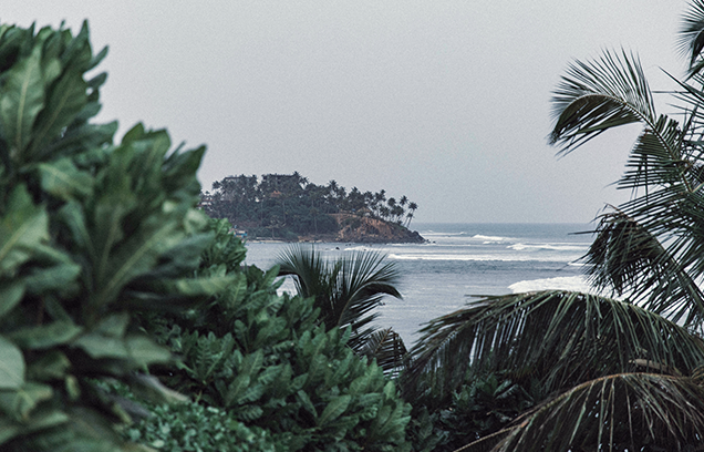 Wpadaj na nasz surf camp na Sri Lankę. Ciepła woda, tropikalny klimat i świetne fale dla początkujących i nie tylko!